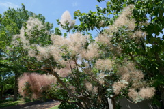 P1010359