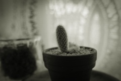 P1150326