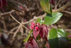 P1330403