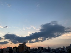 ファルコンな雲