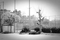 P1330349
