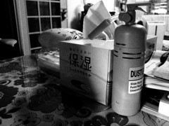 この時期・・・