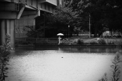 パラソル
