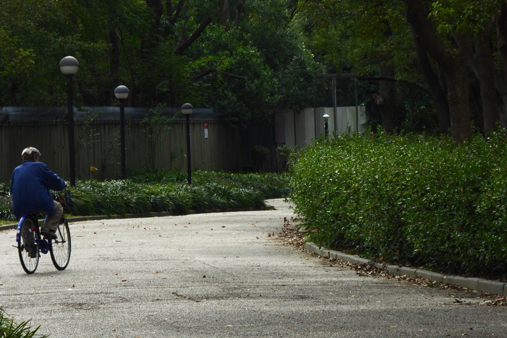 昼からふらふら