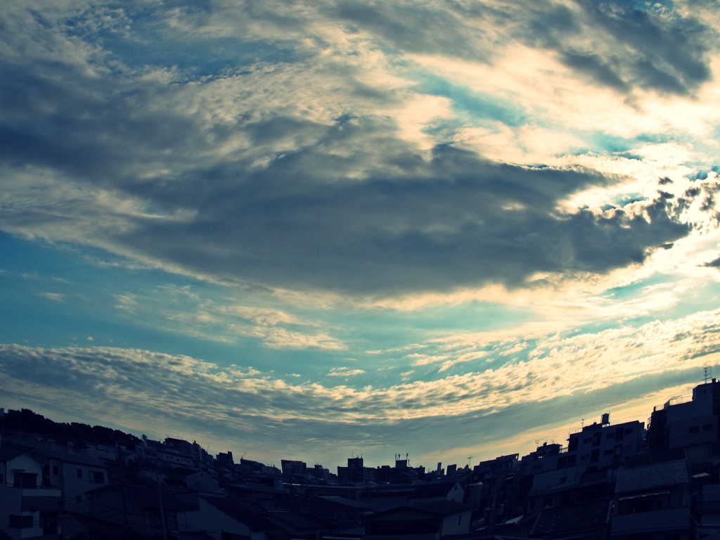 魚眼の空 (5)
