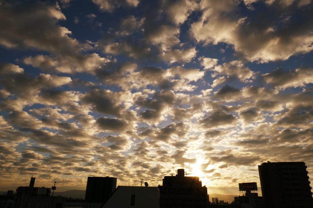 朝の空 (1)