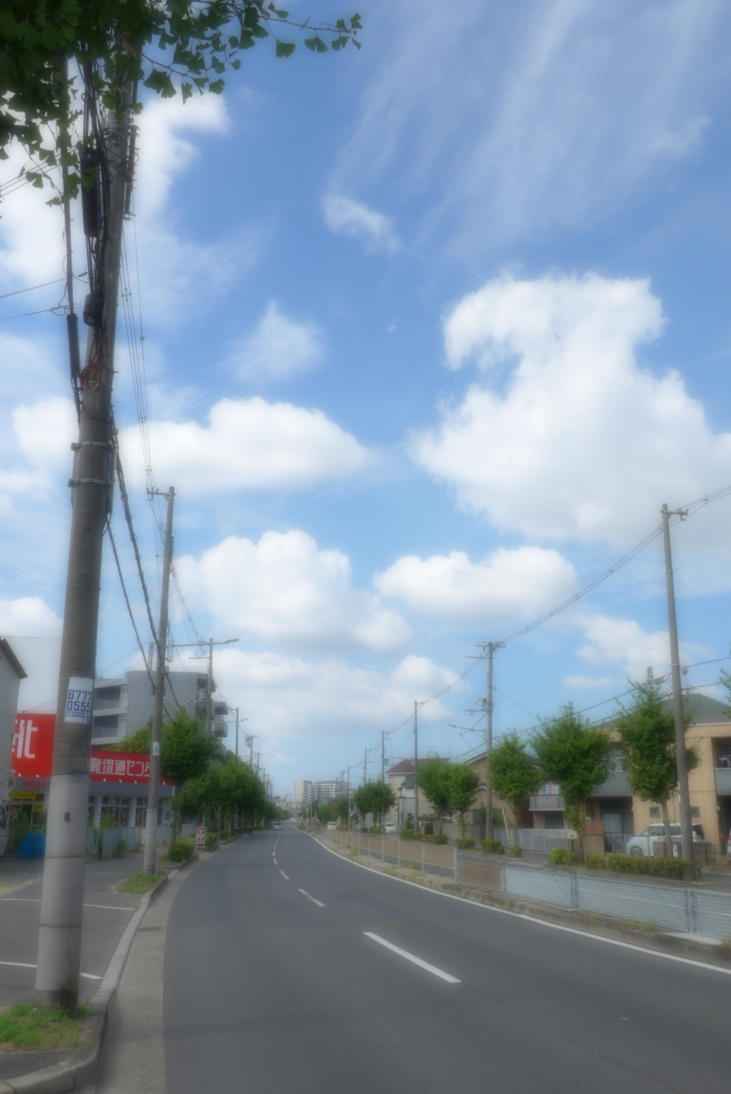 ソフトフォーカス過剰 (3)