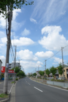 ソフトフォーカス過剰 (3)