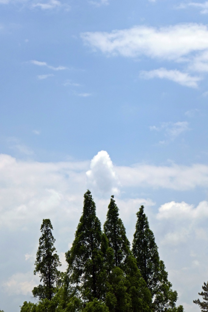 P1000362