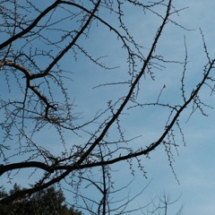 DSCF3319