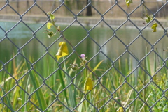 P1400301