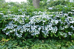 P1000272