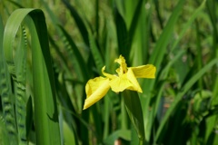 P1200084