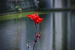 P1290554