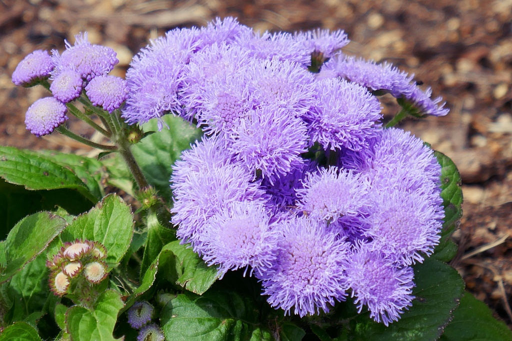 P1320810