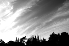 雲