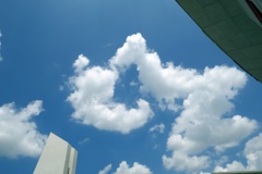 P1010227