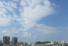 ソフトフォーカス過剰 (1)
