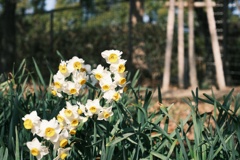 DSCF3740