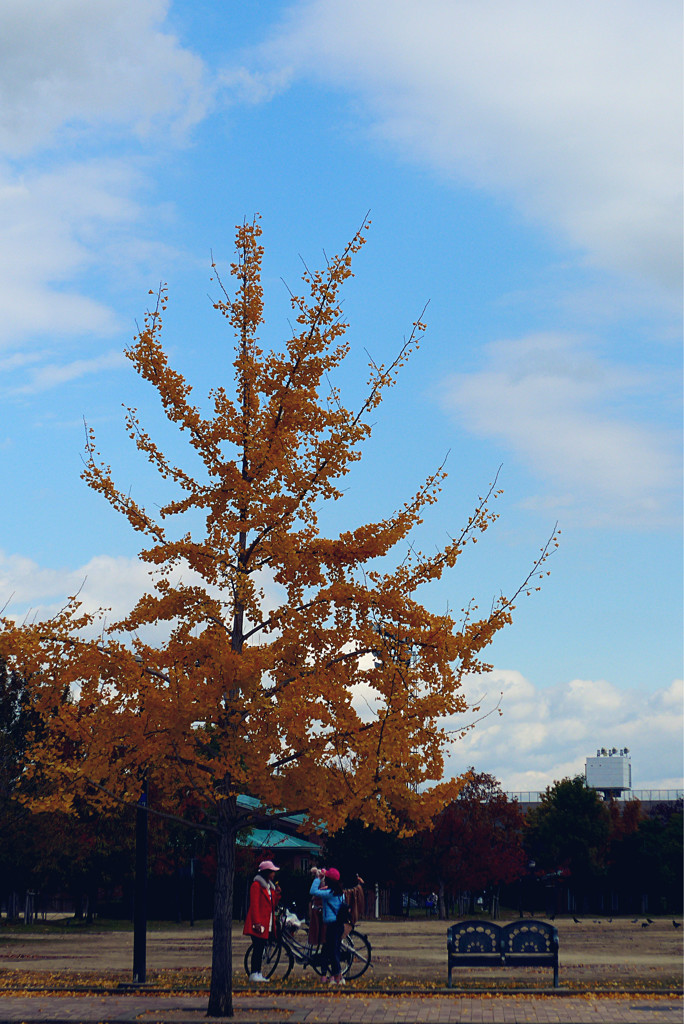 公園4