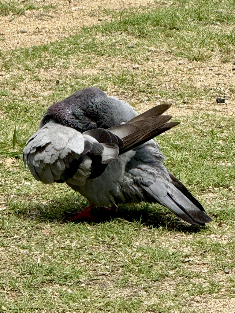 見ないでっ！