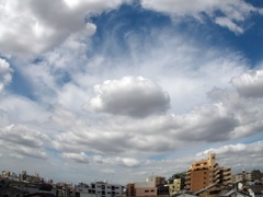IMG_8452
