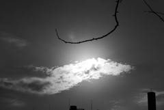 ビヨヨォ～ン (3)