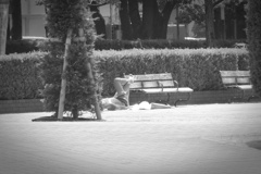 P1100876