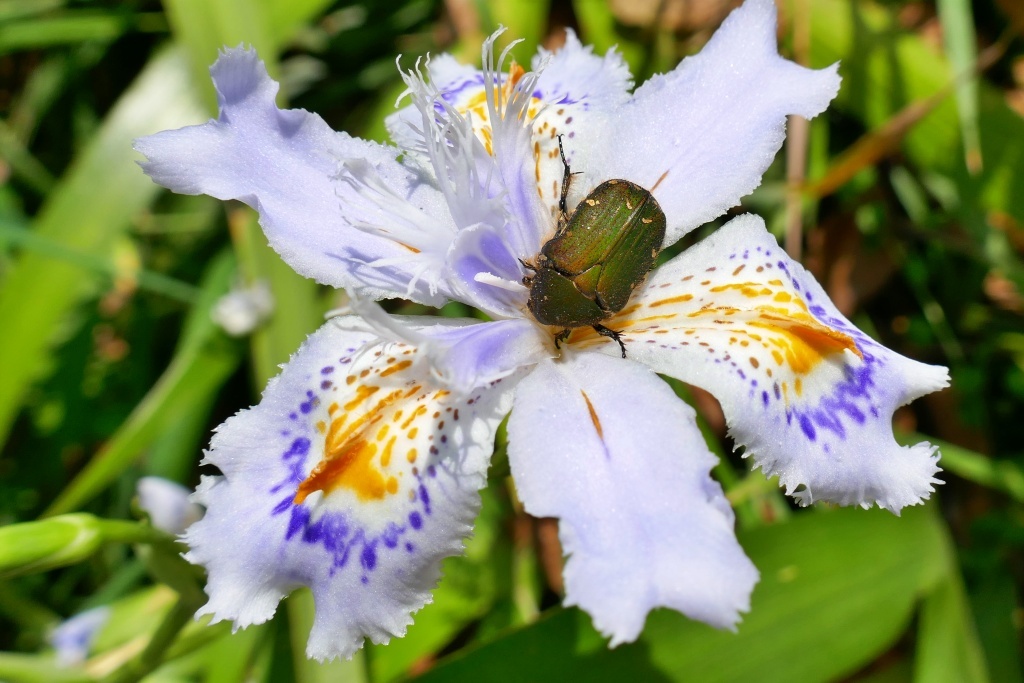 P1280326