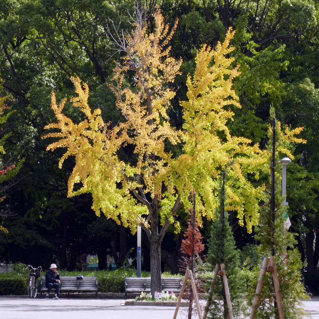 P1060327