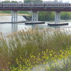 P1380582