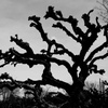 P1320711