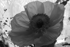 P1190638