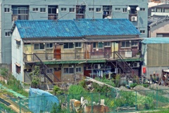 P1200087