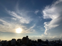 メモリ内掃除 