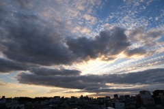DSCF2645