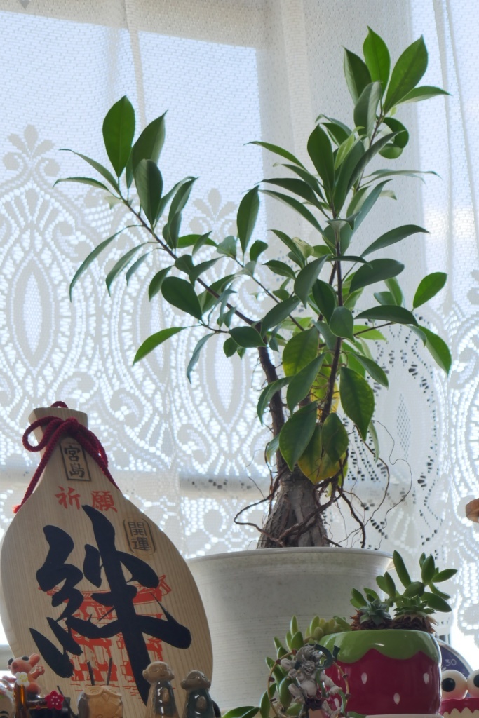 時々薄れる絆かな