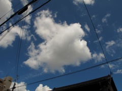 雲囲う
