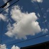 雲囲う