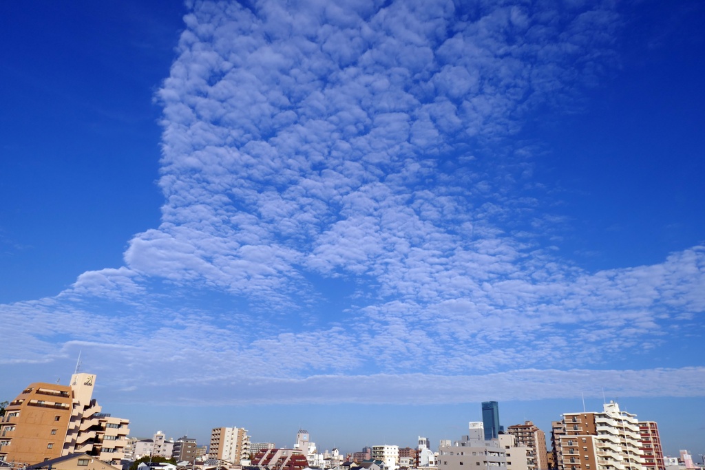 P1070056