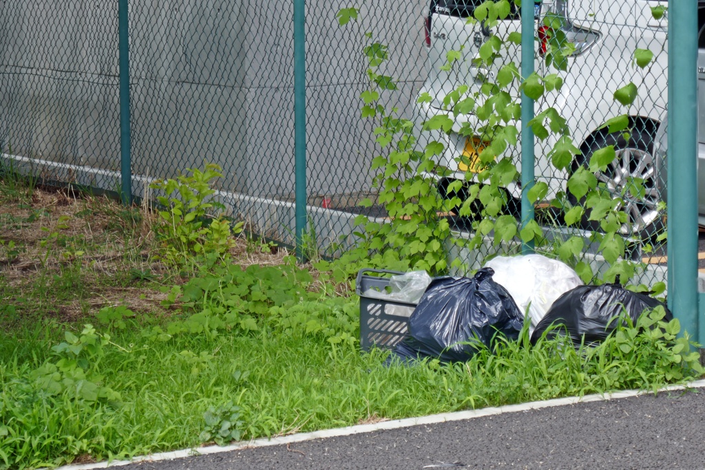 不法投棄だよねっ？