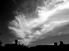 IMG_4469