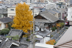 P1070879