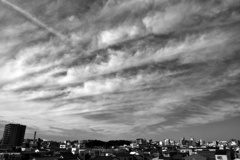 P1260327