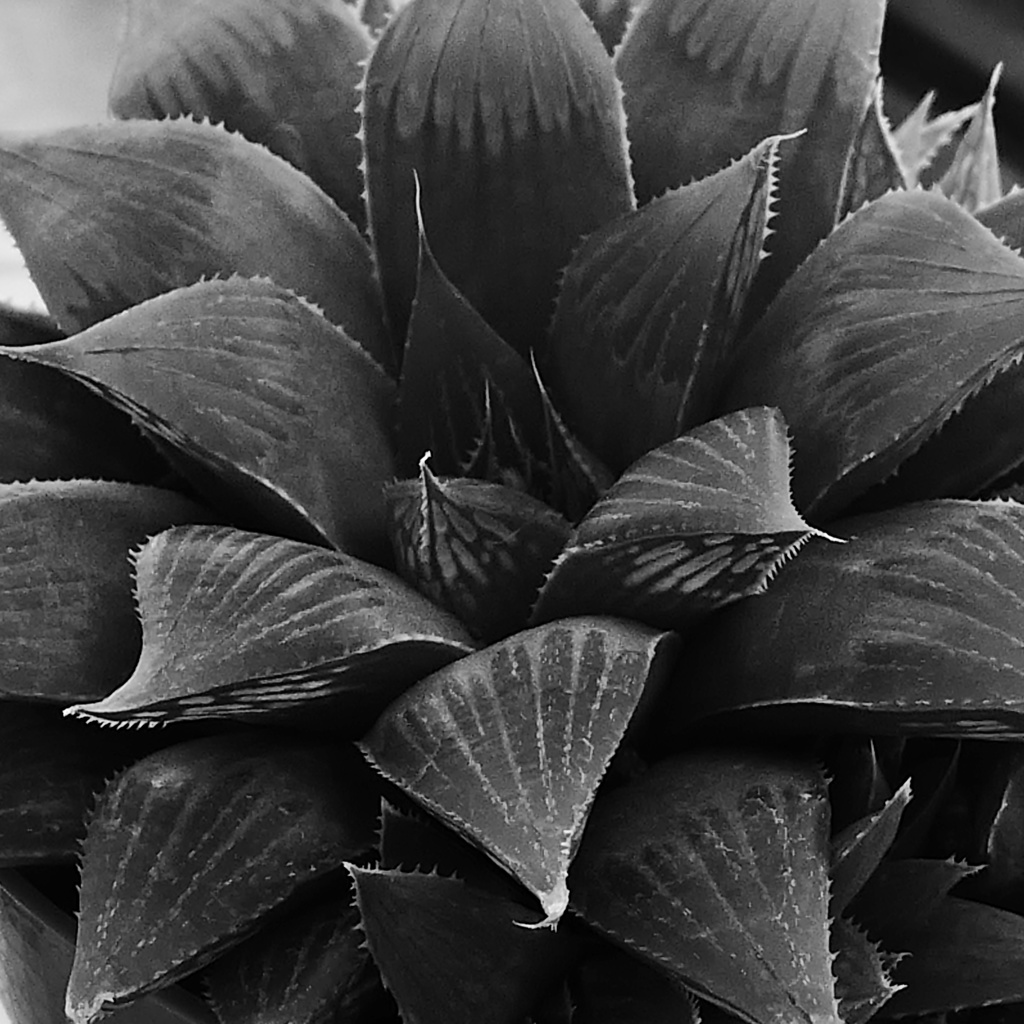 P1200271
