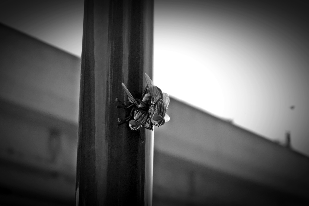 （閲覧注意）がんばってください！