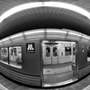 膨らむ電車