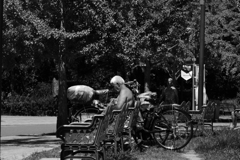 P1040403