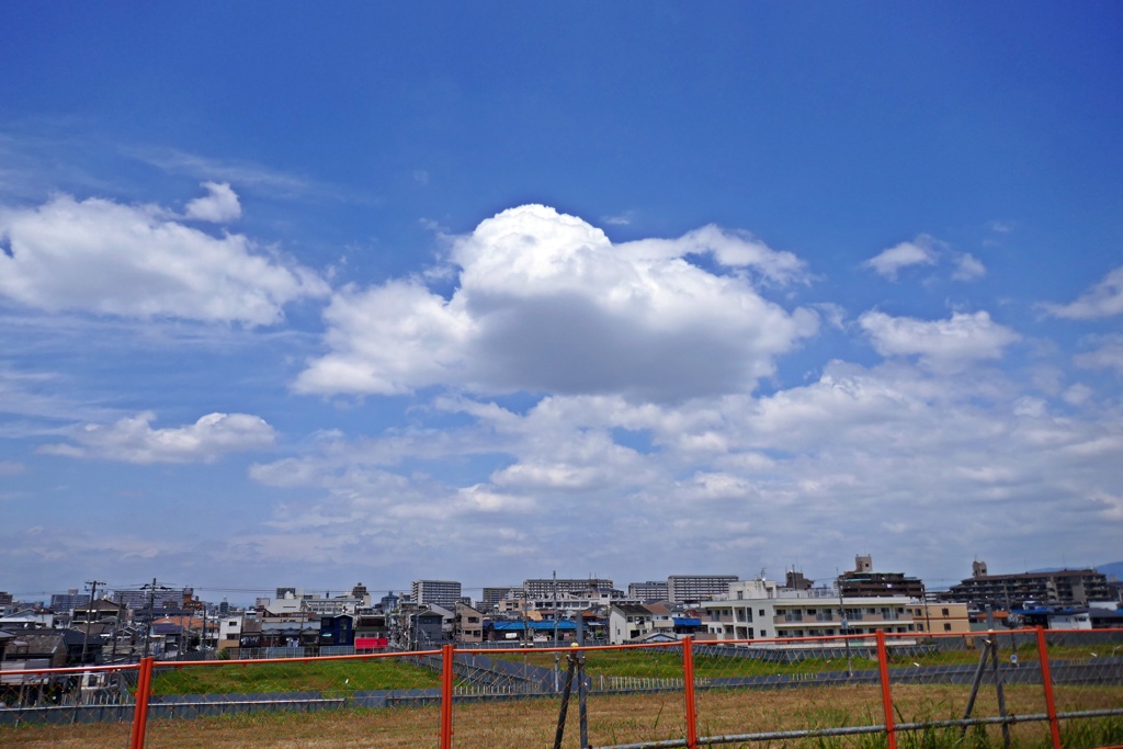 P1000201