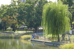 P1160032